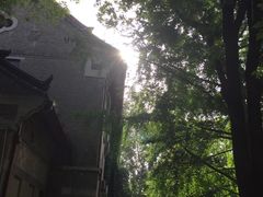 -山东大学(趵突泉校区)