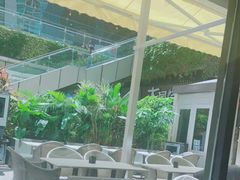 -酒肆浅葱•烧烤•龙虾•排档(卓悦intown店)