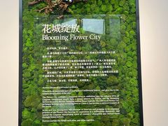 -云溪植物园