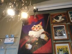 -猫咪博物馆(顶澳仔猫街店)