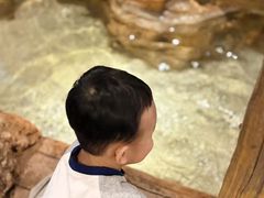 -长鹿旅游休博园