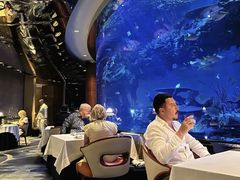 -迪拜帆船酒店海底餐厅