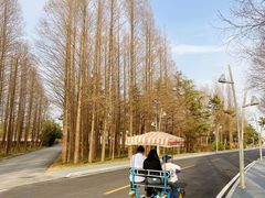 -日照灯塔风景区