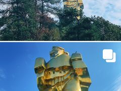 -大金鹰园