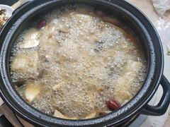 -蘑统田下·野生菌火锅