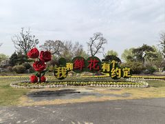-南通鲜花小镇
