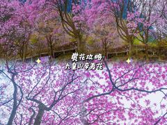 -九皇山景区