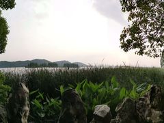 -东湖落雁景区