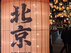 -龙湖星悦荟(颐和店)