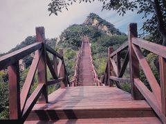 -大岭沟猕猴桃谷风景区