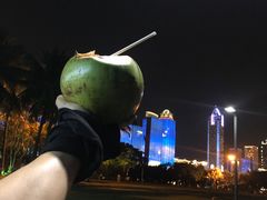 -万绿园
