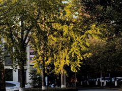 -上海交通大学(闵行校区)