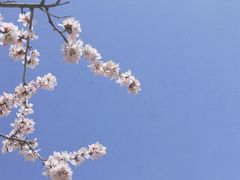 -延庆地质公园博物馆