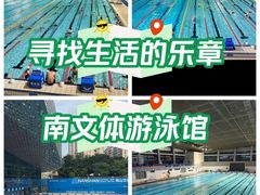 -南山文体中心-游泳馆