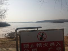 -丁香湖公园