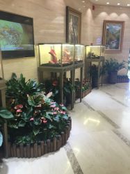 -中国黄金(北京旗舰店)