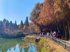 -捞渔河湿地公园