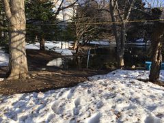 -北海道厅旧本厅舍(旧本庁舎)