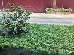 -食百绚全日制餐厅(成都棕榈泉费尔蒙酒店)
