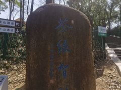 -灵岩山风景区