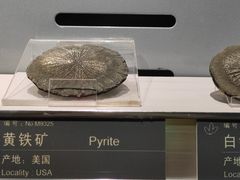-中国地质博物馆