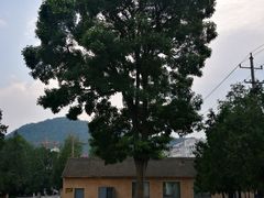 -延安杨家岭革命旧址