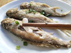 -小河无名面馆