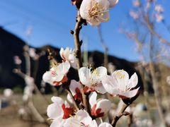 -白河湾生态旅游一条川