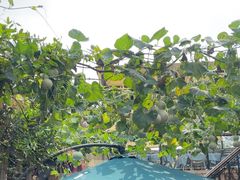 -后海16号·北京私房菜