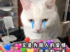 -七欣天香辣蟹火锅(苏州塔园路店)