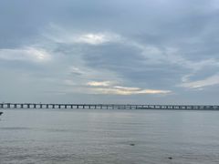 -宝安西湾红树林湿地公园