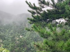 -庐山风景区花径公园