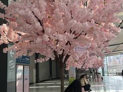 -黄浦路(地铁站)