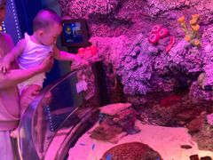 -沈阳海洋探索中心