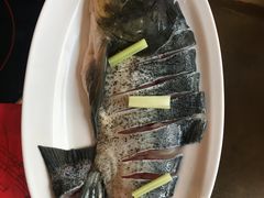 -红牌美蛙鱼头火锅(万辉国际广场店)