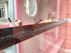 -喵屿·大理花园猫咖