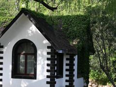 -上海共青森林公园