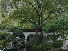 -上海醉白池公园