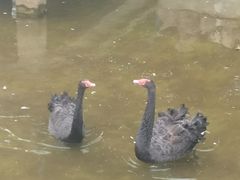 -森林公园(尖草坪区)