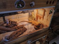 -Rabbit Cafe私房西餐甜点咖啡(栖霞路店)