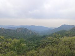 -大岭沟猕猴桃谷风景区