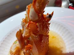 -曼格纳·曼芯馆(杨浦店)