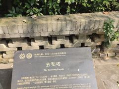 -兴教寺
