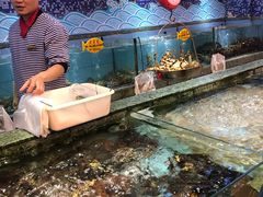 -快乐海鲜城(虎泉街店)