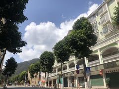 -鼎香皇高佬苏裹蒸粽