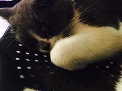 -MIKAKU(万达广场上海宝山店)