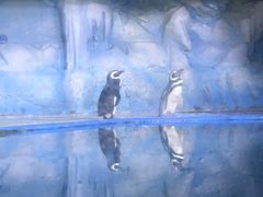 -常州海昌海洋探索馆