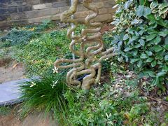 -武汉紫薇都市田园