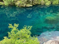 -叠溪松坪沟景区