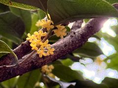 -杭州半山国家森林公园